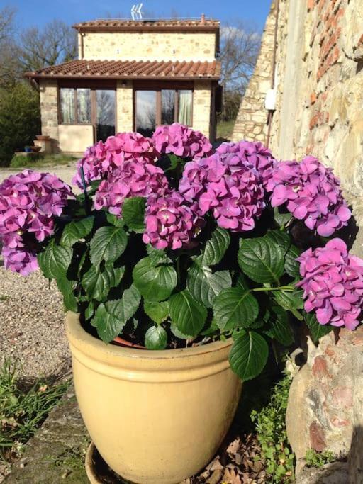 Faetole Typical Tuscan Country House Near Florence Capannuccia Extérieur photo